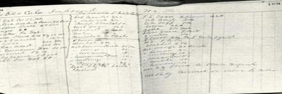 mor en brique avec neon cocamille